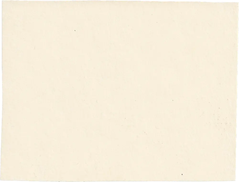 plain background